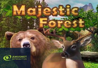Majestic Forest